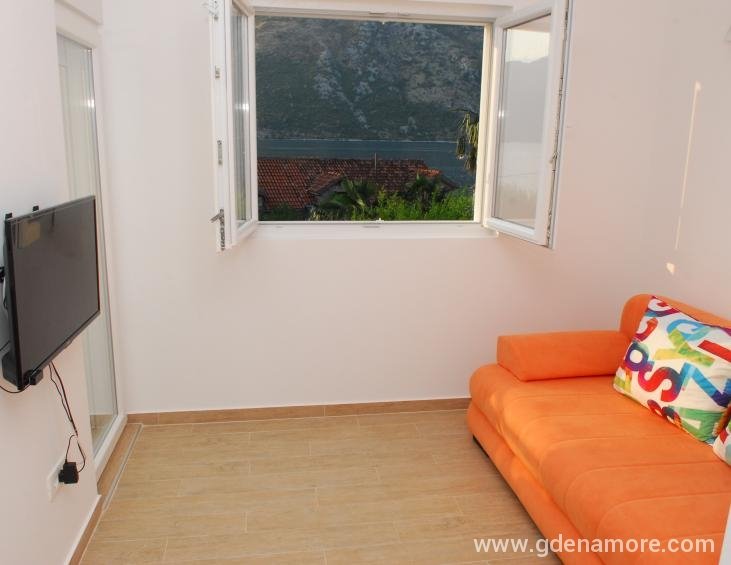 Jednosoban apartman sa terasom (dnevni boravak)